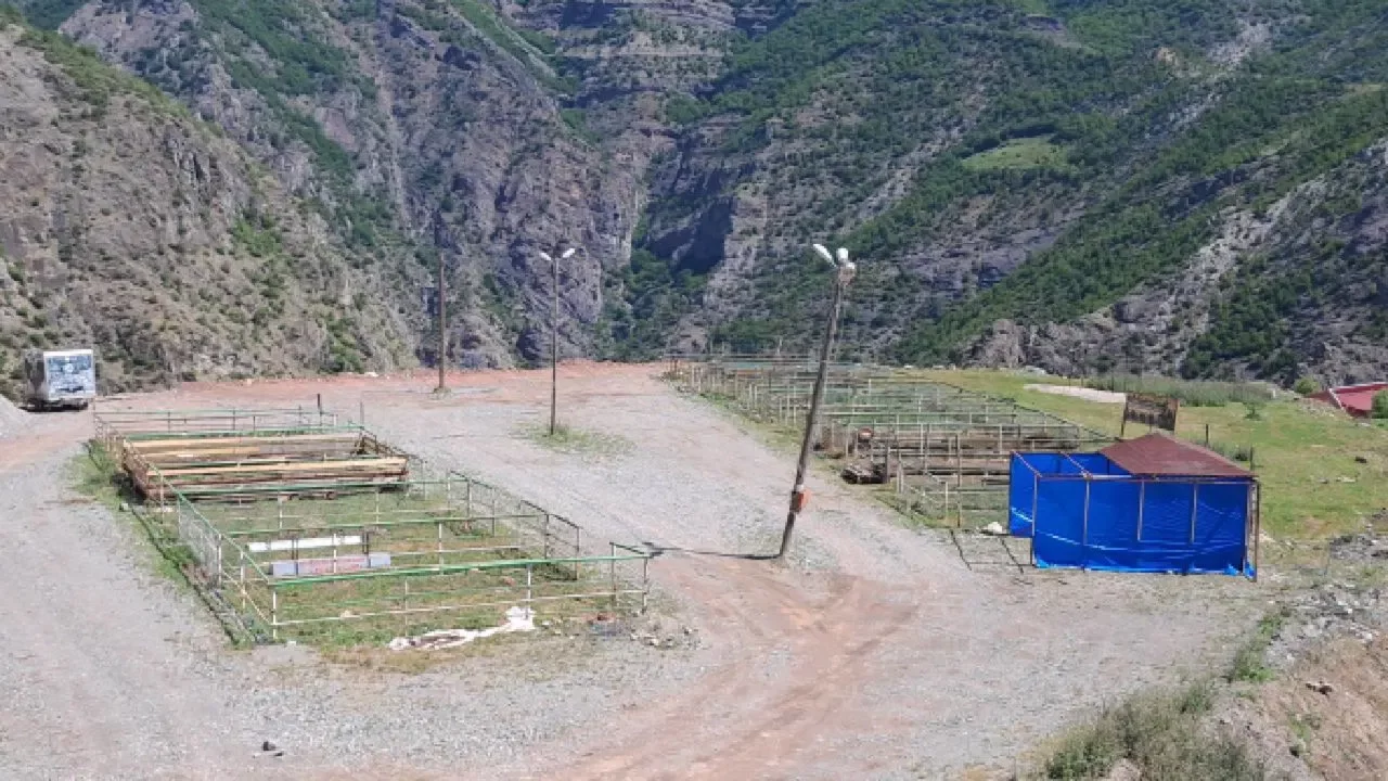 Kurban pazarı boş kaldı: Ne satıcı var ne de alıcı